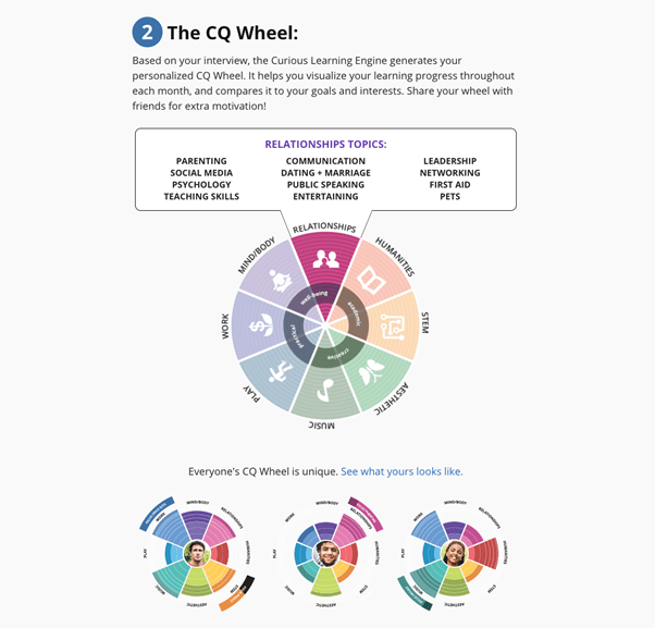 CQ wheel microlearning