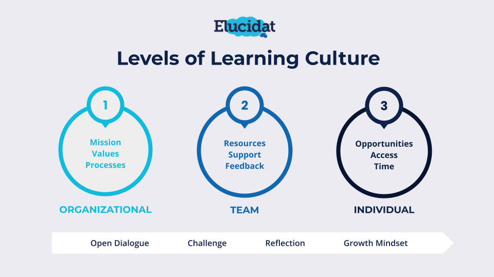 Different levels of an effective learning culture