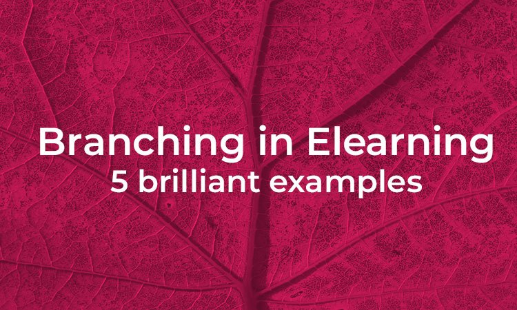5 branching elearning examples